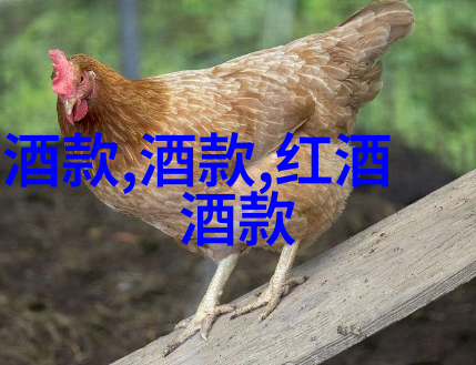 红酒之香探索女性饮用红酒的秘密益处