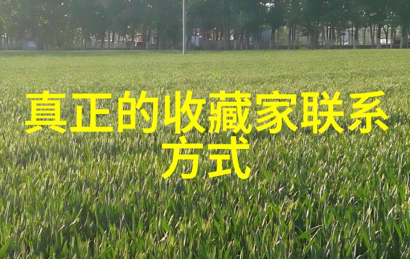 人物画图片大全 简单漂亮看看这些超级美的简约人物画吧