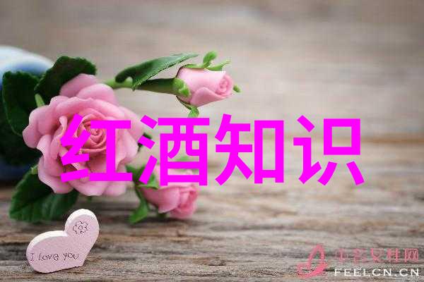 探秘数字海洋答案库搜题的奇妙征程