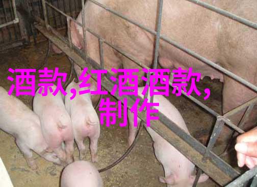探秘法国葡萄酒传奇波尔多白兰地与勃艮第的香气