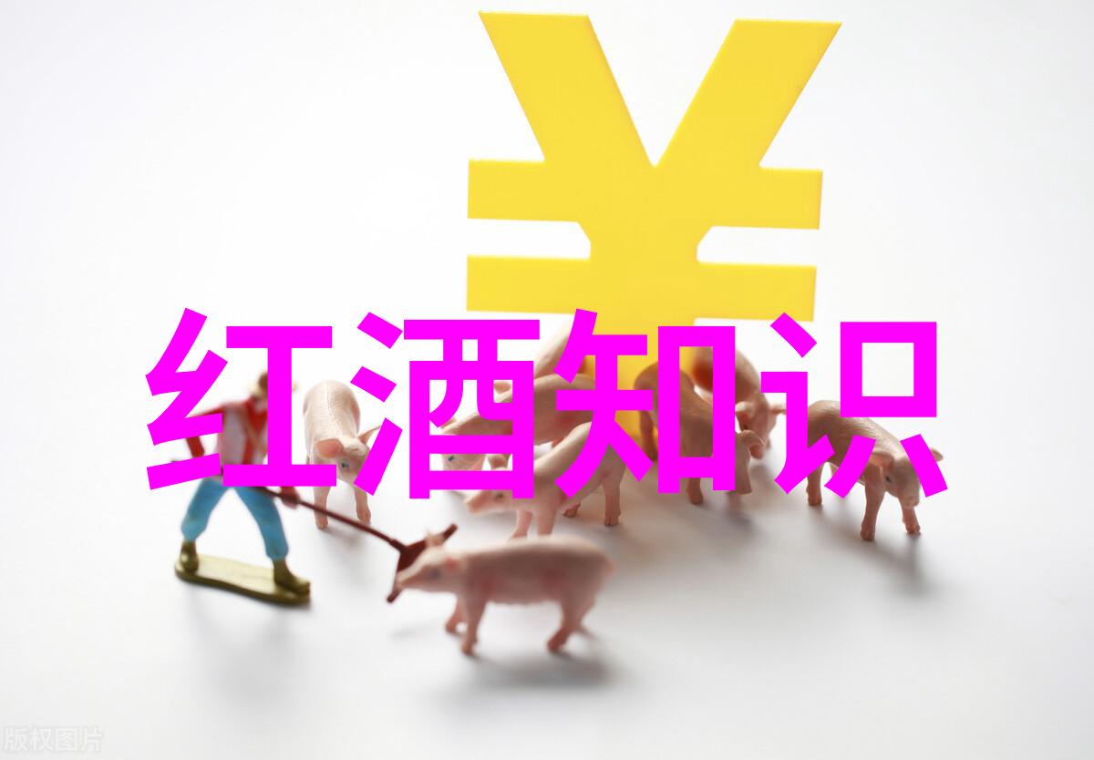 葡萄酒产区探秘-波尔多丘法定产区品味历史与美酒的交响
