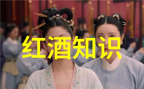 历史小说 - 时光编织者揭秘古代隐秘情缘
