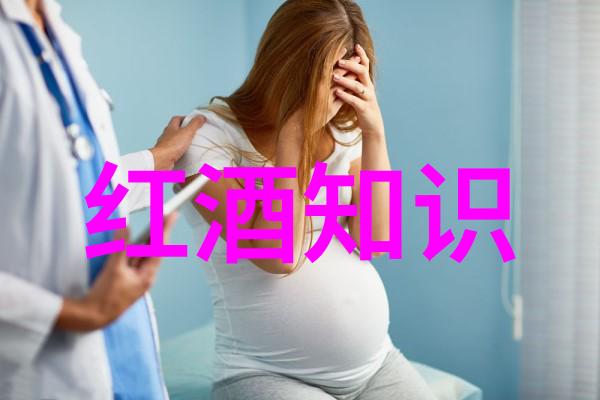 传统手工艺与现代科技红酒生产中的革新与创新趋势
