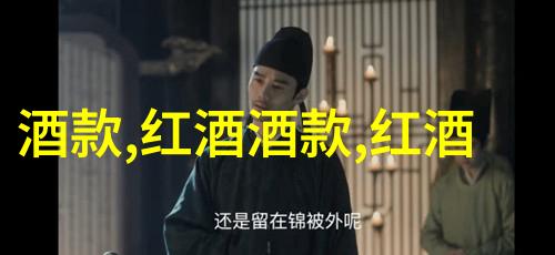 了解猫的价格宠物选择与预算