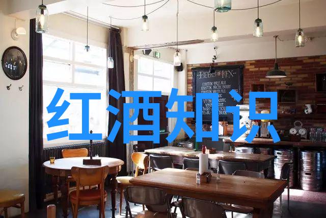 葡萄酒之国法国的香槟王国世界上最著名的葡萄酒产区之一