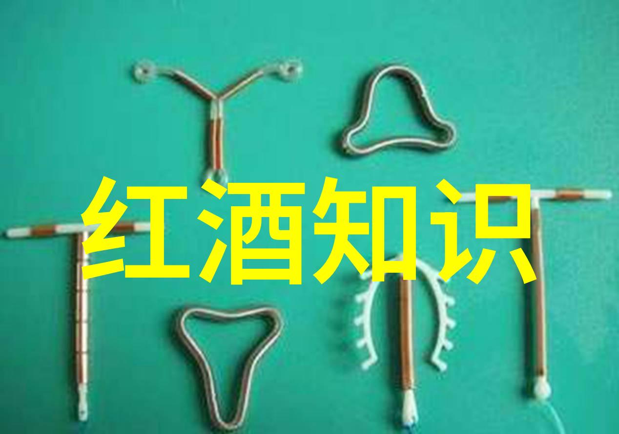 明朝的秘密花园诡异与荣耀交织在历史的长廊上