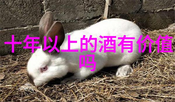 探索玉米香与葡萄芳哪些白酒葡萄品种散发着独特的香气