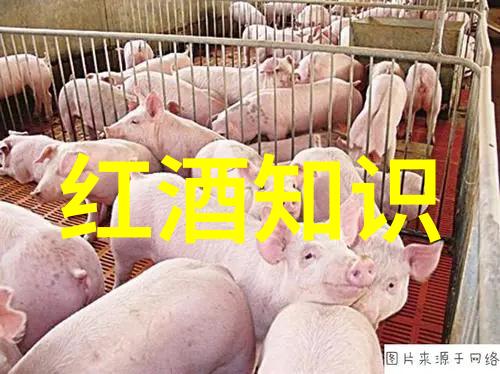 中国女子闯入海湖庄园杜尔基酒庄的秘密被揭开