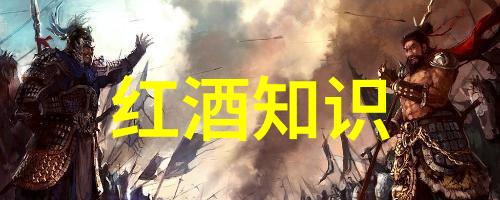 非核心产区是什么意思-解析葡萄酒产区分类从非核心到特级的品质探究