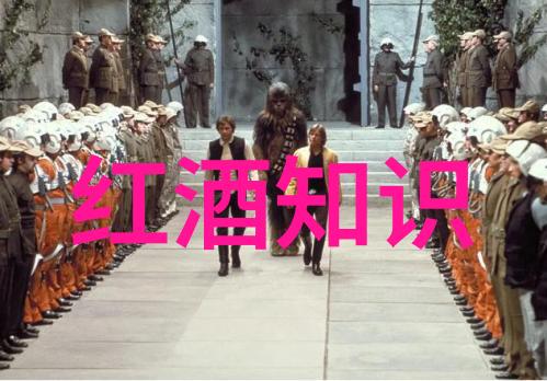 红酒文化品味之旅探索红酒的历史制作工艺与品鉴技巧