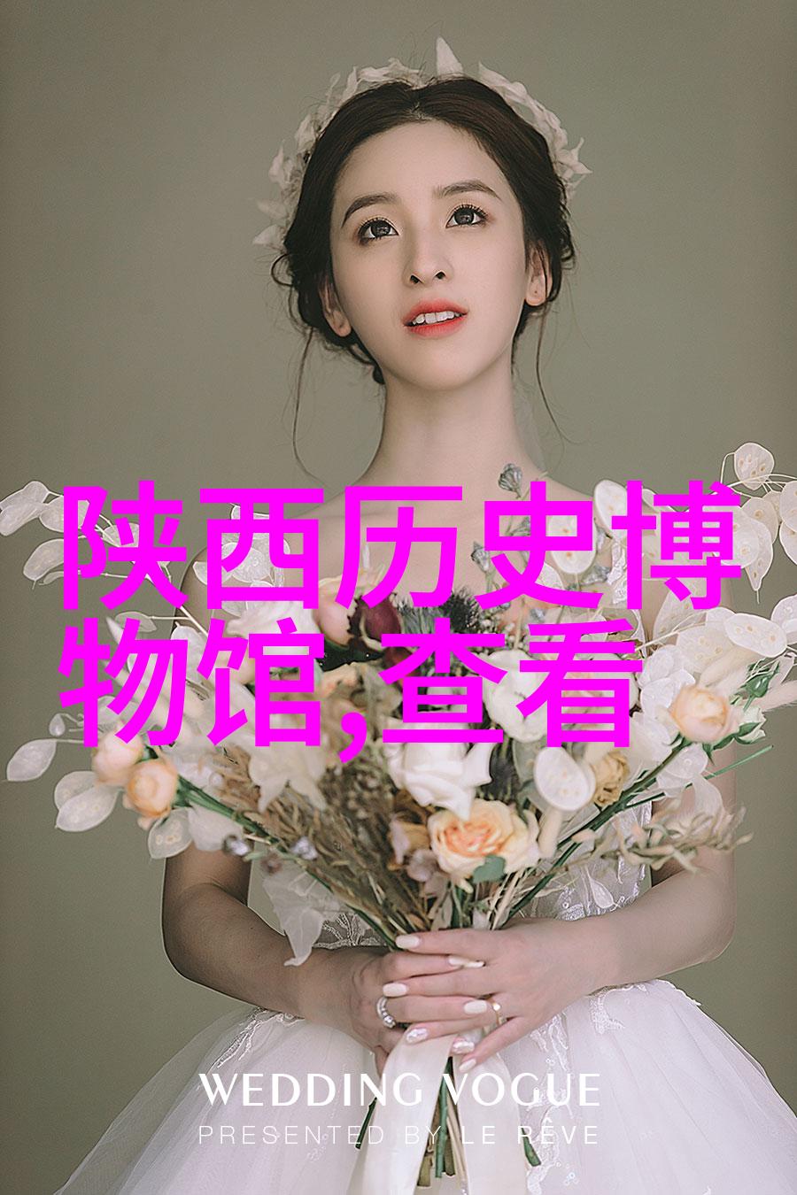 墨香绘韵收藏家的秘密图书馆