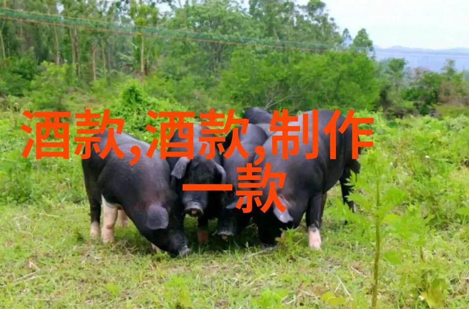 手拉手味蕾共鸣探索红酒与情感的故事