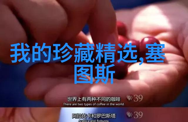 外交重启中国宣布支持阿根廷主权包括对马岛的声索