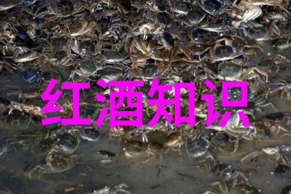 黄土高原下的粮仓梦
