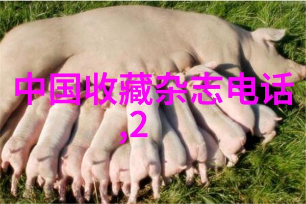 粉嫩JK的秘密时光震动与喷溅的爱恋