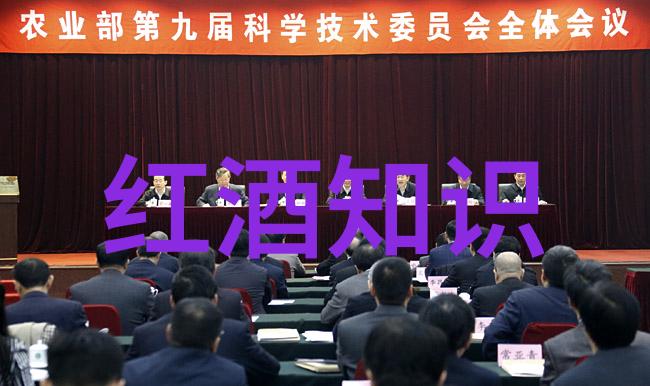 动漫手绘教学从零到英雄的笑话征程
