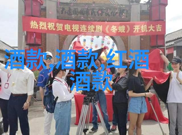 中世纪贵族庄园布局探秘古堡我在哪儿发现了那些神秘的庭院