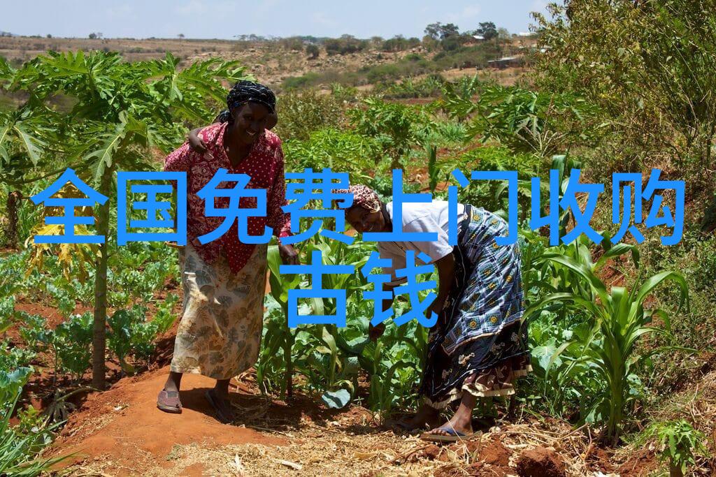 旧约时期的犹太国大卫王和所罗门王时代的辉煌与挑战