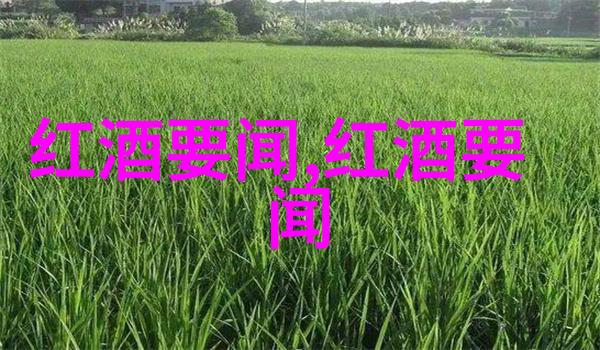 儿童时期性别角色认同的视觉表现10岁至12岁男性的帅气形象研究