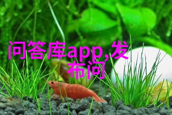 主办国家角逐赛事成功度与经济效益有何关联性