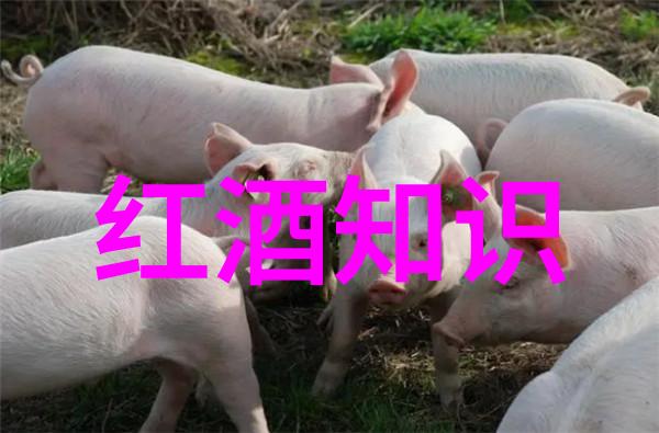 古老葡萄园的守护者追踪世界上第一瓶红酒的秘密