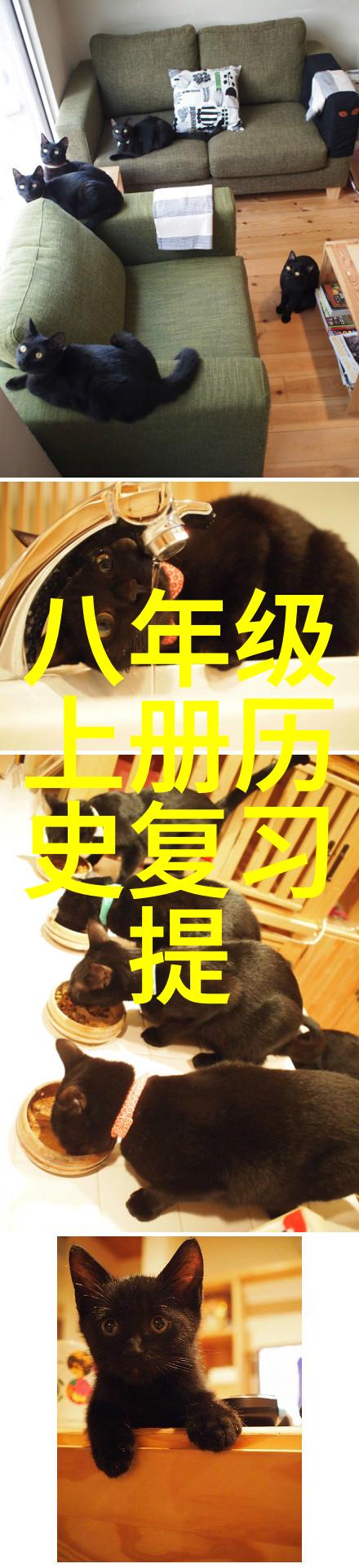 西安周边游二日运路线优化能否分享一些实用的建议