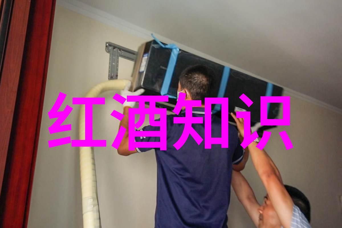 中国科技的旗帜李约瑟与科学传承