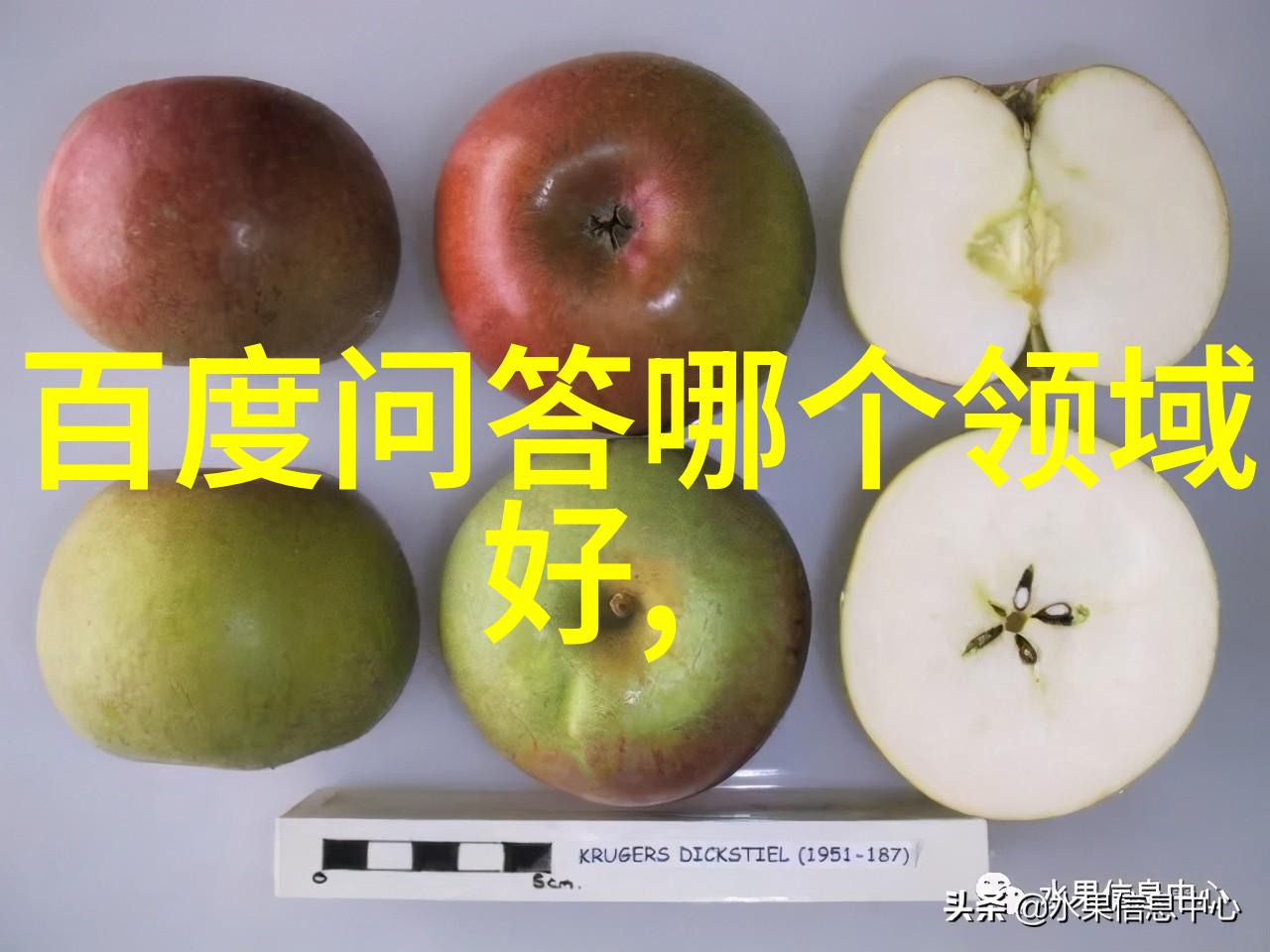 上海周边一日游自驾探索城市外缘的美丽秘境