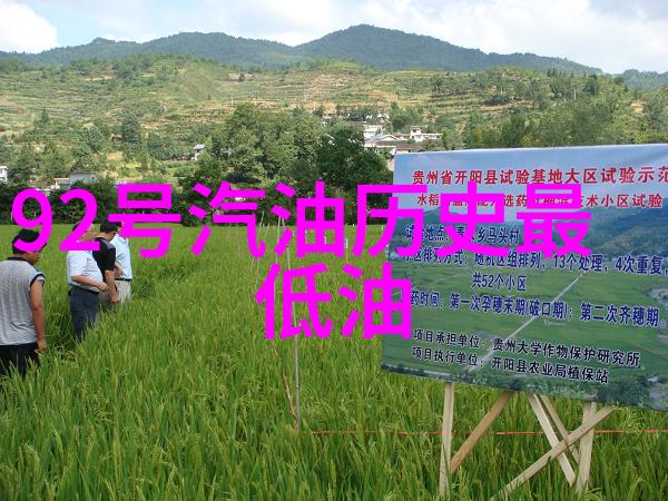 翡翠编织的梦境二龙湖玫瑰庄园的秘密花园