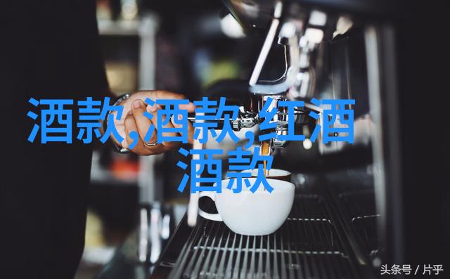 庄园与城堡田园风光与壮丽建筑的对比探究