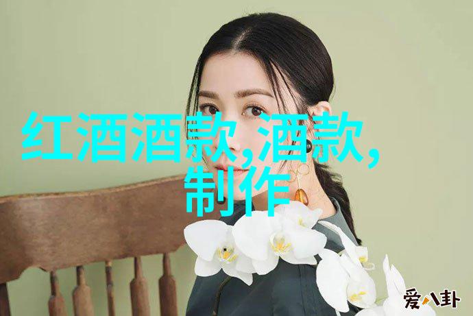 我来告诉你波尔多葡萄酒法定产区在哪里