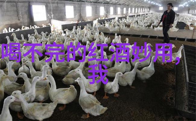 在上海周边有哪些自然风光优美的徒步径可探索