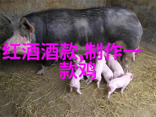 红酒烹饪的艺术与智慧探索中餐中的煮红酒文化