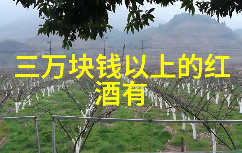 在利弗莫尔谷的葡萄酒社区里2023-2024年的董事会成员们像阳光灿烂的金色玉米一样各具特色每一位都