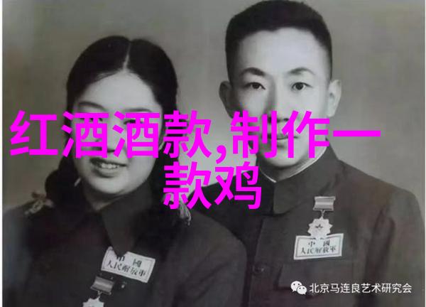 猫的世界探秘200种不同的猫品种深入了解各种毛色体型和性格