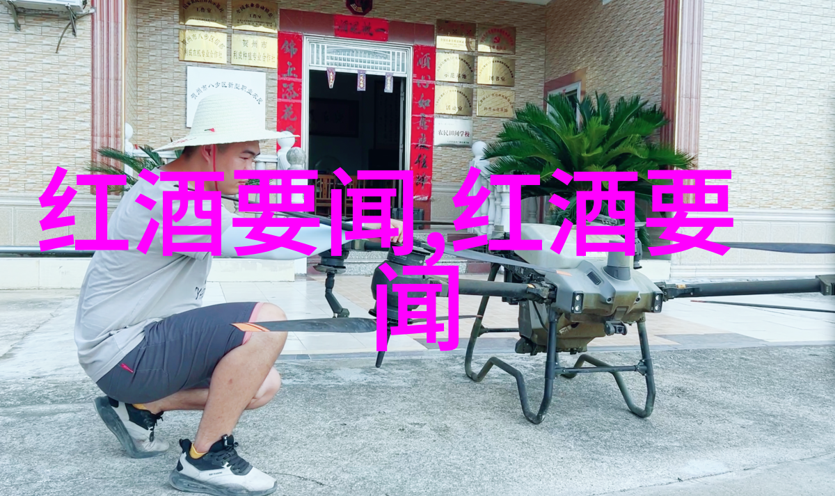 紫禁城的西方园林圆明园的辉煌与沉寂