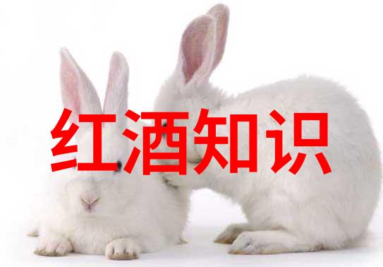 探索西班牙红酒地标产区从阿拉贡到卡斯蒂利亚-莱昂