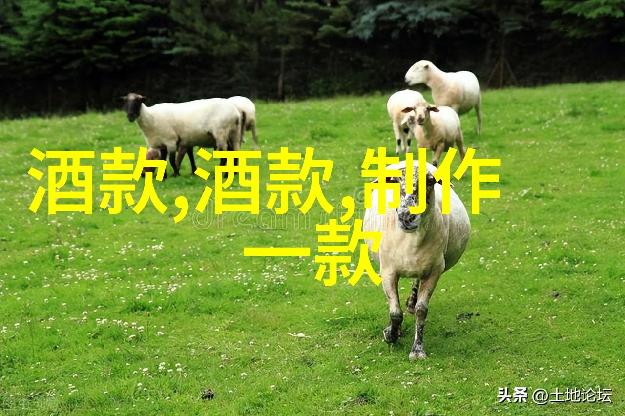 文雅语汇的收藏艺术抚慰心灵的词藻之美