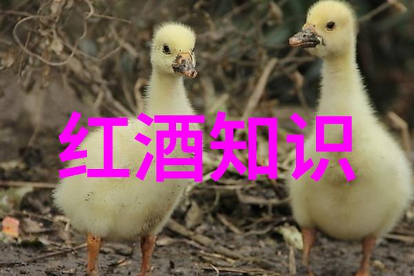 东北酒文化的顺口溜在北京海淀吟唱多座葡萄酒博物馆如诗如画地展开