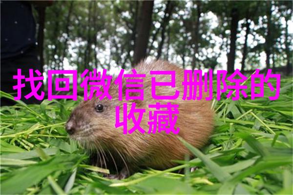 伊丽莎白雅顿红酒加盟之教堂山醉影庄