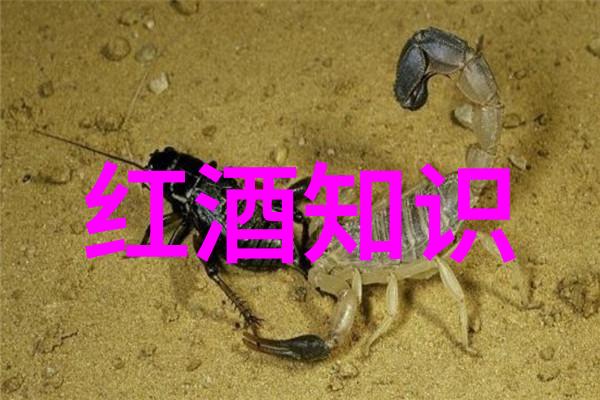 法国葡萄酒风情怀拉拉帕品质  Wairarapa Bordeaux