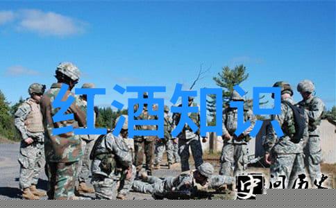 在选择波尔多和布鲁克勒红酒时我们应该关注哪些关键因素
