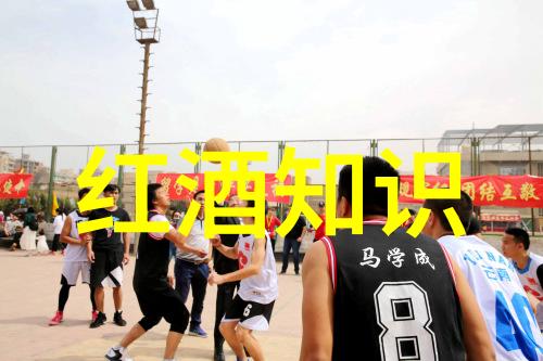 玫瑰花之名宛若星辰QUINI引领分析平台之光
