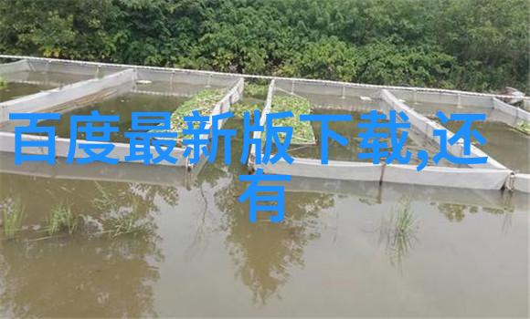 主题看看这些超级萌的猫咪图片大全大图吧