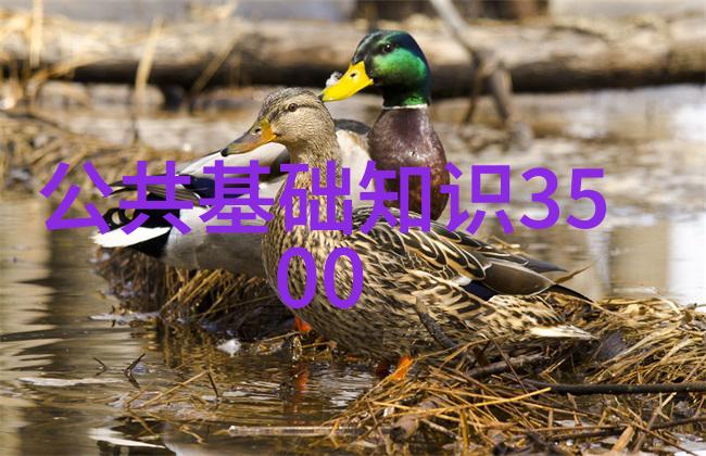 妈妈的朋友在完整有限公司中字4 - 公司内部的人际关系揭秘妈妈的朋友背后的真相