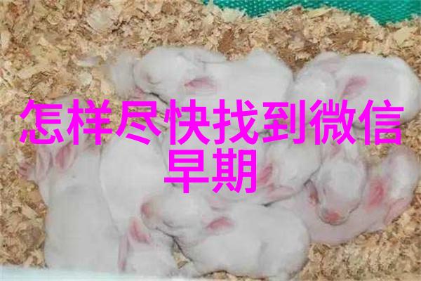 从零到英雄我是怎么在田园小院赚钱游戏中成功的