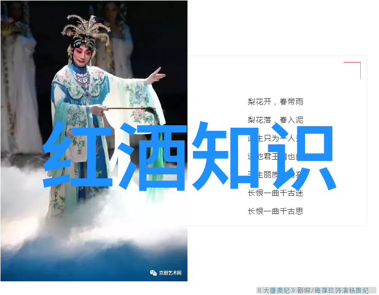 红酒文化探索品味红酒的历史与艺术