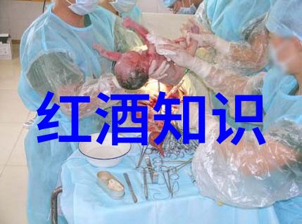 玫瑰花卉美丽各种颜色和品种的精彩展示
