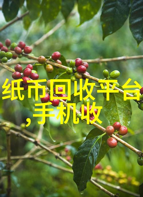 陕西历史博物馆-探索千古辉煌陕西历史博物馆的文化宝库