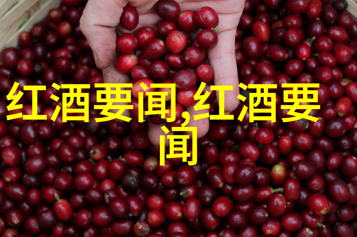 智能问答系统解锁N的秘密力量